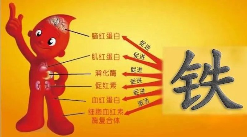 钢材批发入门指南：从新手到专家的进阶之路